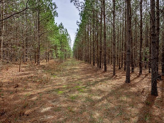 Waynesboro Ga Tract 3 023