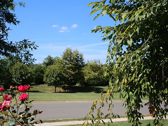 Across the street view