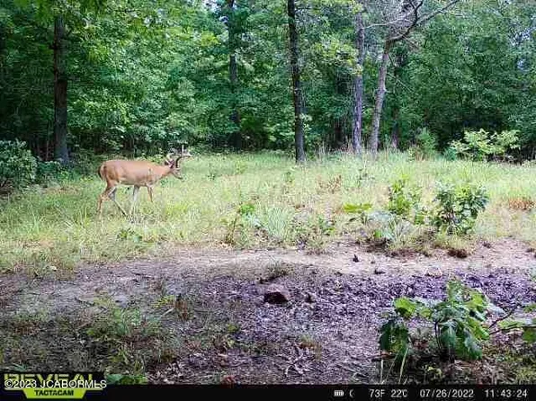 10 Copperstone Rd, Camdenton, MO 65020