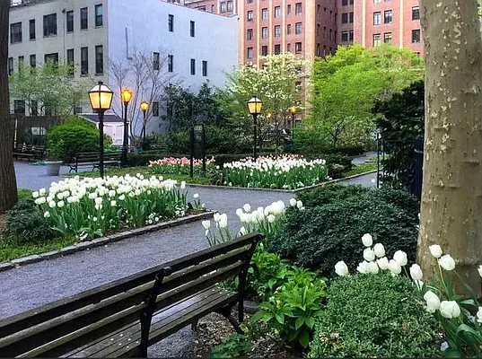 Rented by Bond New York | media 25