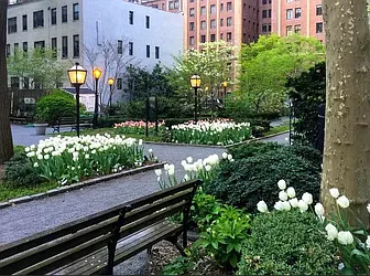 Rented by Bond New York