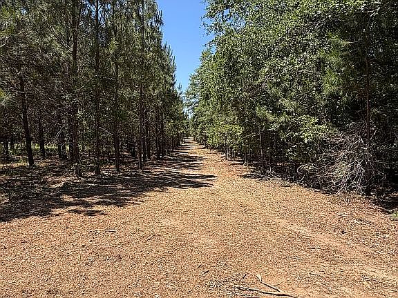 3rd image of 0 Evergreen Rd