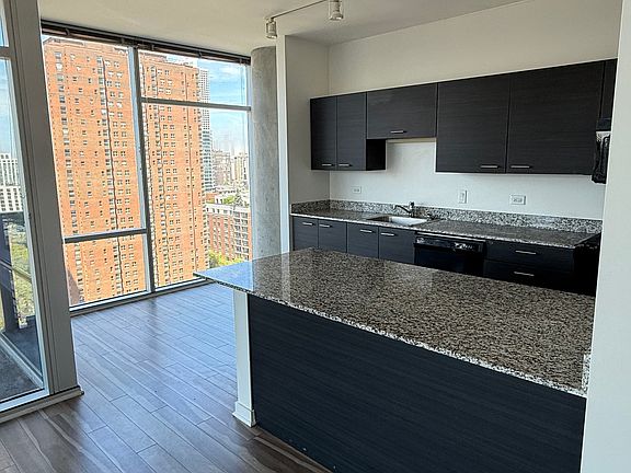 4th image of 855 N Lasalle St #507