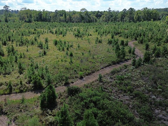 3rd image of 0 Bethel Forest Rd Tract 1