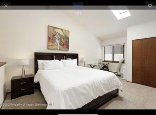 23284 Two Rivers Rd #3, Basalt, CO 81621