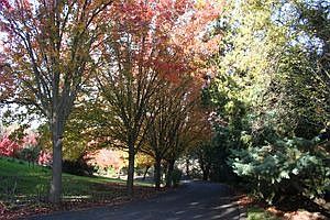 Private 'Allez' Entry Road