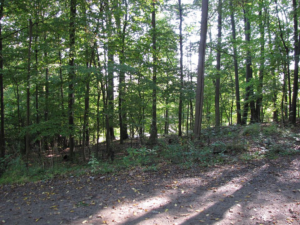 Looking East