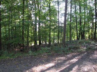 110 Cold Springs Cir, Hillsdale, MI 49242