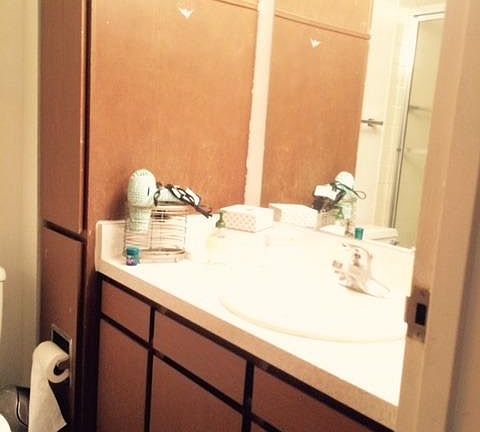 3rd image of 555 E William St APT 19H