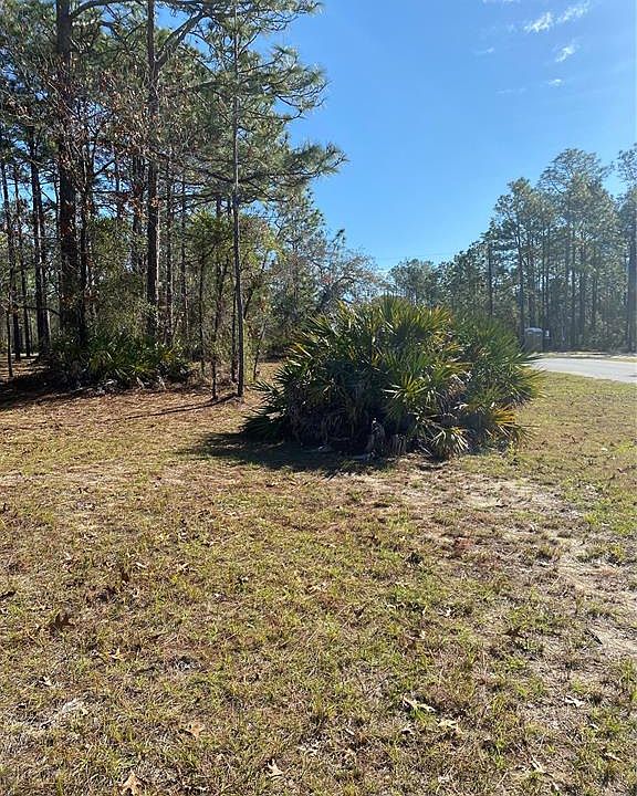 11329 Tinamou Ave 13, Brooksville, FL 34614 Zillow