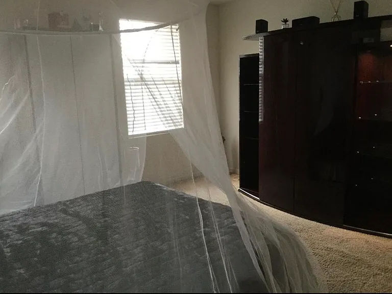 3203 Puffin Cir — Photo 4