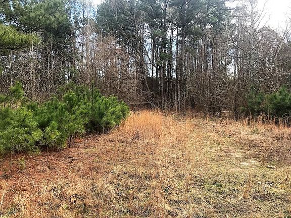 3rd image of 3016 Loganville Hwy #0