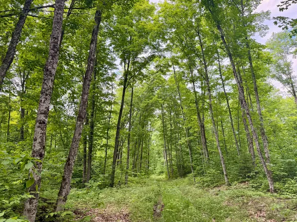 Michigan #123, Newberry, MI 49868