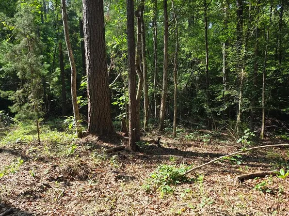 Persimmon Rd, Monroeville, AL 36460