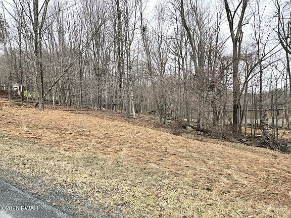 5th image of 697 Black Bear Rd