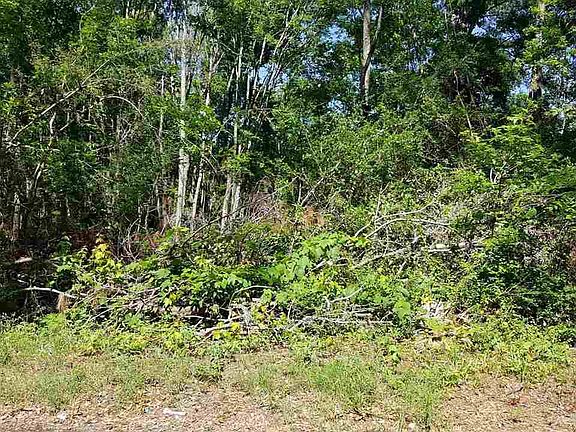 2nd image of TBD Ford Rd. Lot 13