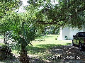 Shady driveway