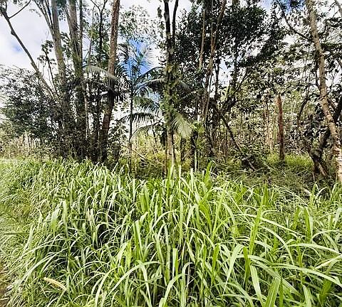5th image of Mayzee Rd Lot 178