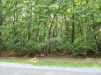 0 Chestnut Hollow Trl Lot 53, McMinnville, TN, 37110