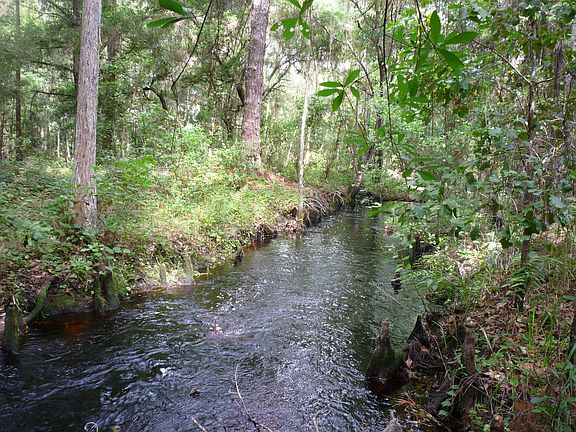4th image of 12773 Rockridge Road