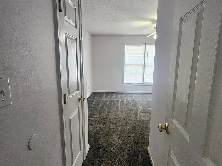 4519 Josh Ct — Photo 17