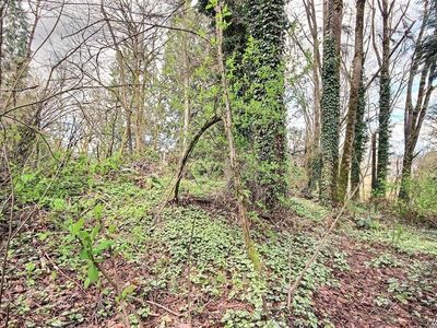 17 112th Pl NE, Bothell, WA, 98011
