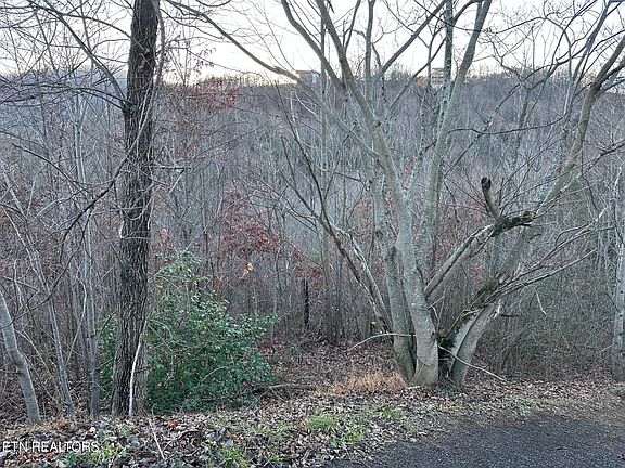 3rd image of 1611 Mountain Dreams Way