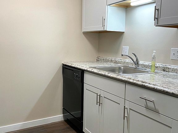 New counters, sink, faucet and dishwasher.