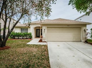 18186 Sandy Pointe Dr, Tampa, FL 33647
