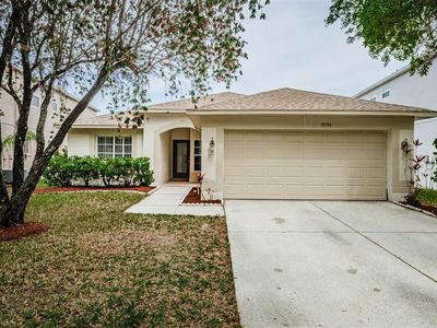 18186 Sandy Pointe Dr, Tampa, FL, 33647