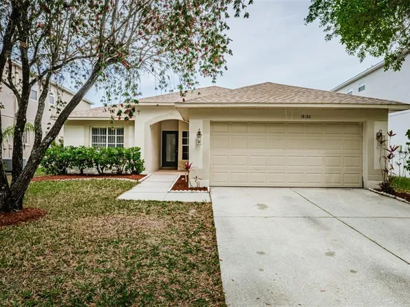 18186 Sandy Pointe Dr, Tampa, FL 33647