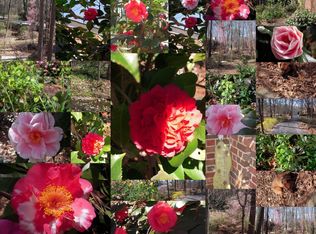 904 Wakestone Ct, Raleigh, NC 27609