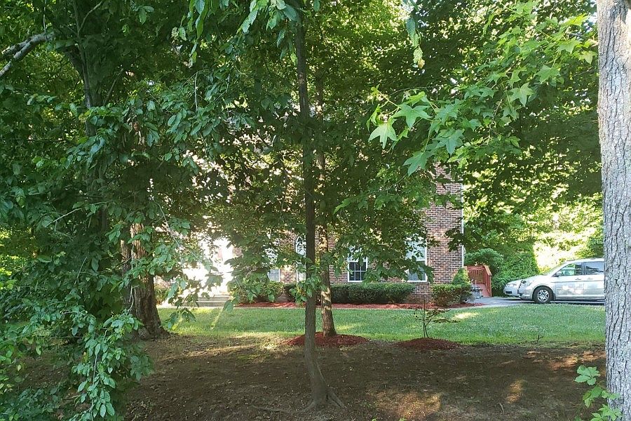 2nd image of 3950 Robinson Rd