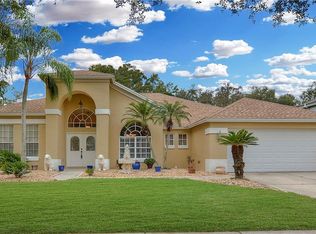 3509 Autumn Glen Dr, Valrico, FL 33596