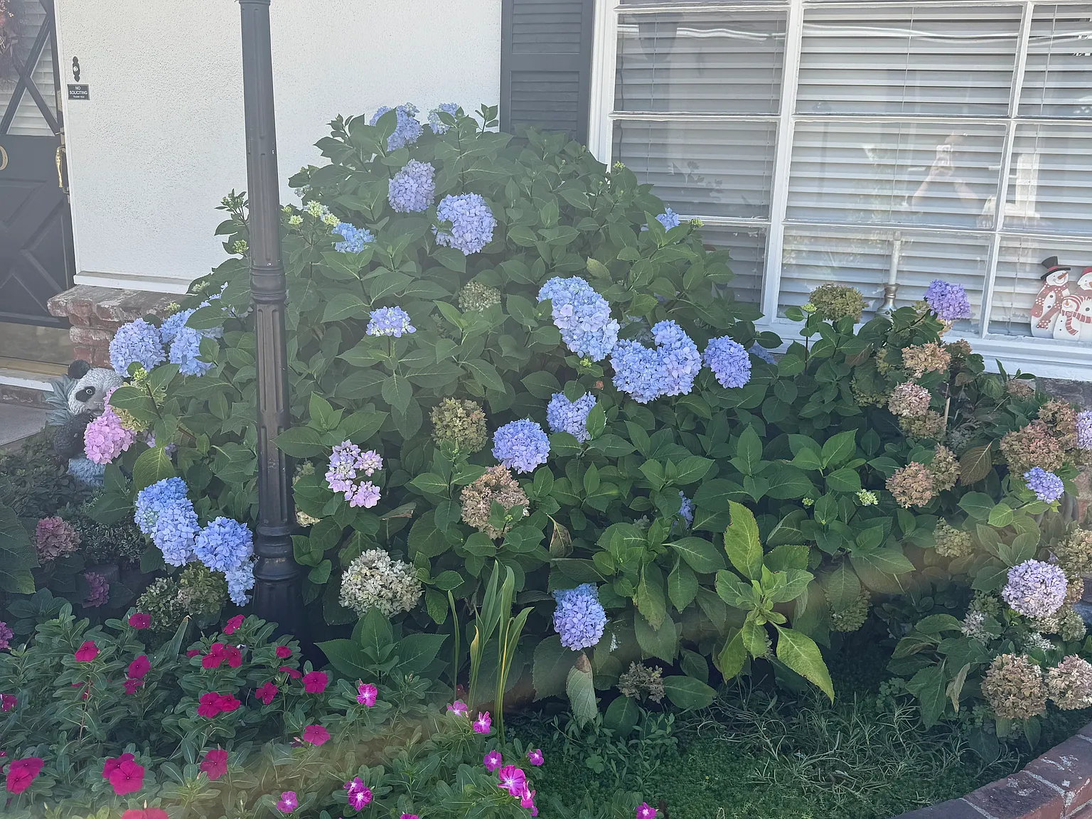 1 bed, $1,950 — Photo 2