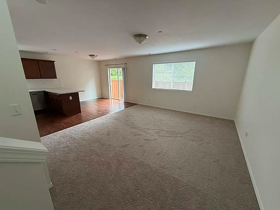Bright open-concept living room with clean carpeting and abundant natural light.