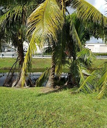 2nd image of 10911 NW 45th St