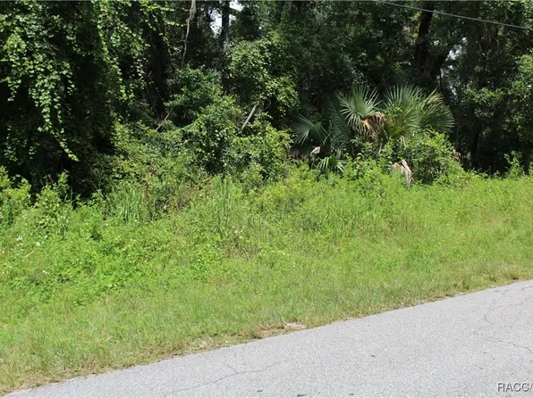 6364 E Seneca St, Inverness, FL 34452