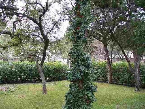 5th image of 10911 HAMLEN PARK DR