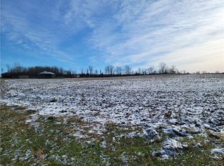 0 Spring Street Rd #10, Cayuga, NY 13034