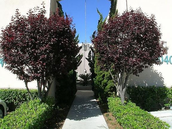 Complex entry