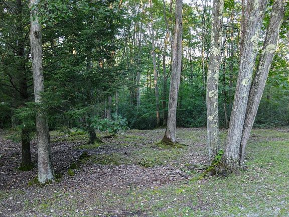 5th image of LOT 8 Stool Rock Rd