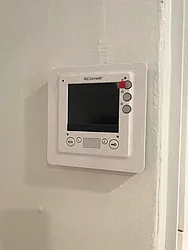 Rented by Sophie Bednarczyk