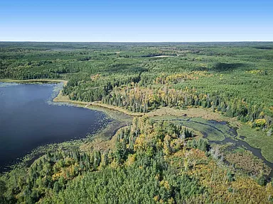Property photo 49