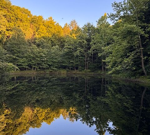 the private pond
