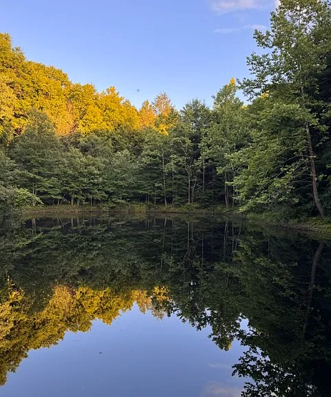 the private pond