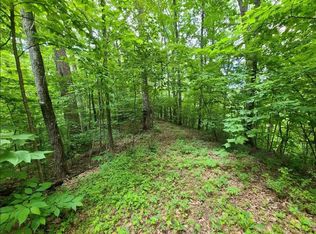 28 Sonshine Ridge Rd, Cosby, TN 37722