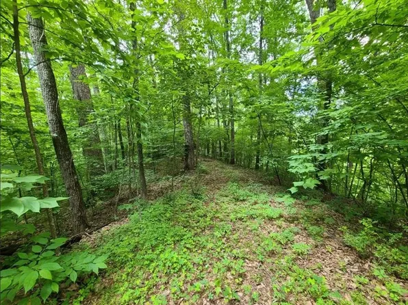 28 Sonshine Ridge Rd, Cosby, TN 37722