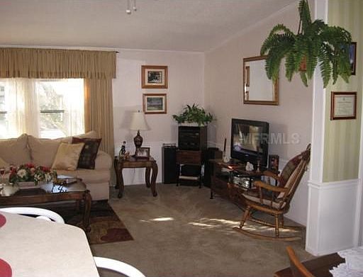 5th image of 146 Cypress Dr