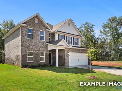 157 Ivy Vine Dr, Toney, AL, 35773